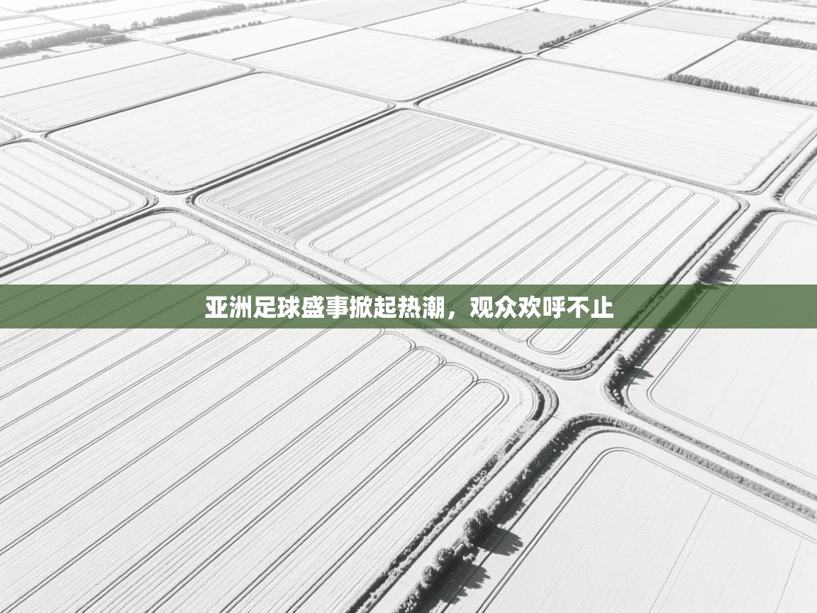 亚洲足球盛事掀起热潮，观众欢呼不止  第1张