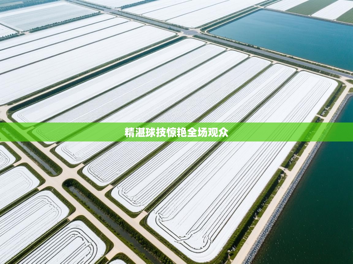 精湛球技惊艳全场观众  第1张